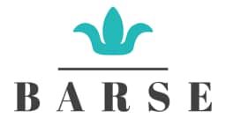 Barse Jewelry